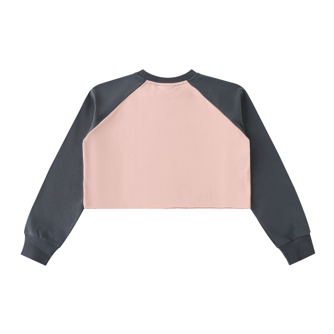 Let Women Crop Sweatshirt