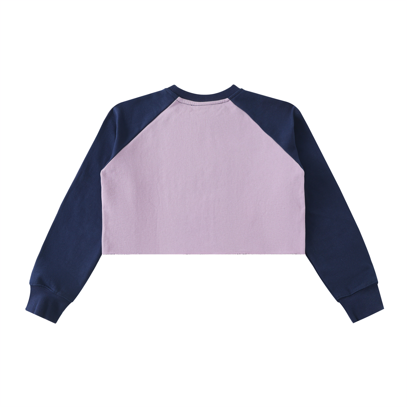 Let Women Crop Sweatshirt